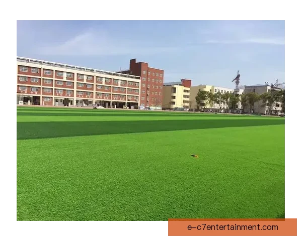 中国足协宣布二零二六赛季实施更严格草坪考核标准推动联赛场地升级